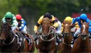 Horseracing symbolising hypercompetition.