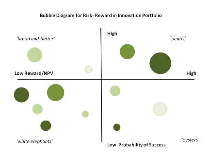 Risk Reward in Innovation Portfolio Management